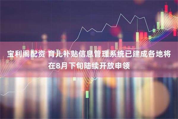 宝利阁配资 育儿补贴信息管理系统已建成各地将在8月下旬陆续开放申领