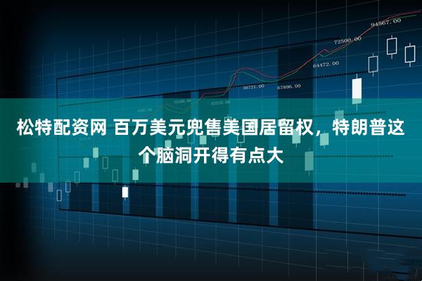 松特配资网 百万美元兜售美国居留权，特朗普这个脑洞开得有点大