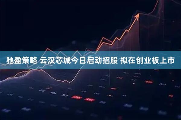 驰盈策略 云汉芯城今日启动招股 拟在创业板上市